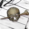 Set de horquilla gótica de calavera y hueso sintético sobre madera blanca rústica - Color de Hueso Envejecido Calavera