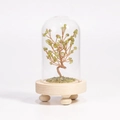 Albero di cristallo naturale verde in cupola di vetro con base in legno massiccio - Peridoto / 13*7.5cm / Con Confezione Regalo