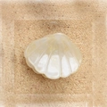 Elegante parelwitte haarklem in de vorm van een schelp met glanzende acetaatafwerking - Schelpwit 2.6cm