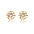 Eleganti orecchini a fiore in argento s925 con zirconi rosa e cristalli bianchi - Oro 18K (Fiocco di Neve Rosa Cipria)