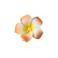 Frangipani hair clip with orange-yellow gradient petals and pearl center for beach vacation - Pearl Style / 6cm / Orange