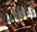 Detail of a handmade crystal crown featuring a bronze butterfly and small skulls - Butterfly Raven Skull Style / Black Rutilated Quartz/Antique Bronze Wire