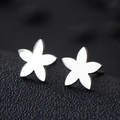 Macro shot of silver stainless steel star-shaped earrings on a black textured surface - Redbud Flower / Silver