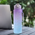 750ml Purple