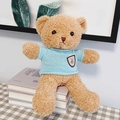 Brown teddy bear plush in light blue knitted sweater with embroidery sitting on books - Brown Bear - Blue Sweater Badge / 30cm