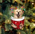 Weihnachtsanhänger Golden Retriever mit Rentiergeweih und roter Schneeflocken-Socke - Golden Retriever Typ 2