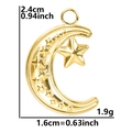 Golden moon and star stainless steel pendant for necklaces with dimensions 2.4cm height - Pendant Only (No Chain) / Gold