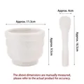 White ceramic mortar and pestle set with size dimensions for home kitchen grinding - Large Classic Style / White / White / Bulk Packaging