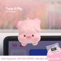 Pink sleeping pig resin miniature for monitor or car dashboard, size 34x35x23mm - 34x35x23MM / Type E Pig