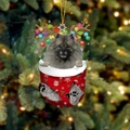 Grauer Keeshond Hund im roten Weihnachtsstrumpf mit Rentiergeweih als festlicher Anhänger - Wolfspitz