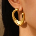 Golden irregular sculptural drop earrings for women made of polished titanium steel - 18K Gold Plated Stainless Steel Irregular Earrings (2823)