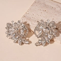 Detalle de los pendientes de flores plateados con cristales brillantes de corte marquesa - Flor Geométrica Plateada (Aguja de Plata S925)