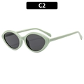 Cat eye mint green retro sunglasses with dark gray lenses and silver metal side details - Mint Green Frame Grey Lens