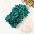 Preserved dark green hydrangea petals in a transparent box for DIY craft and flower art - 5g / Dark Green