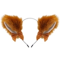 Dark Brown Apricot Inner