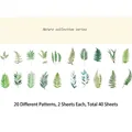 Nature series PET stickers featuring 20 green fern plant designs for DIY scrapbooking - Specimen Collection
