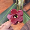 Détail d'une pince à cheveux fleur rouge foncé brillante de 8 cm tenue à la main - Moyen (8cm) / Rouge Ancorra