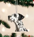Dalmatian dog flat acrylic ornament with silver bead chain for Christmas tree decor - 38-Dalmatian