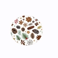Christmas red felt coaster featuring snowflake pinecone and berry natural design patterns - Thanksgiving Pattern / Colorful