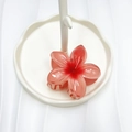 Pinza per capelli a fiore con sfumatura rosa e finitura traslucida lucida - 8cm / Rosso Sfumato