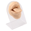 Modello di bocca e lingua in silicone color carne con supporto in acrilico per piercing - Bocca con Lingua Fuori e Supporto / Nudo
