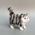 Grey and Black Striped Cat