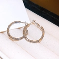 Macro shot of silver twisted rope earrings showing detailed metal texture and polished finish - Plain Twisted Rope (8#) / Silver