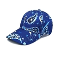 Detail of navy blue baseball cap featuring intricate paisley patterns and cotton canvas texture - Blue