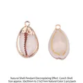 Natural conch shell pendant with gold electroplated edges for DIY jewelry making - Toothed Conch Style (BTA144-2)