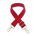 Macro detail of red 3.8cm adjustable bag strap with gold hooks and geometric texture - Gold Buckle / Red
