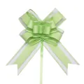 Fiocco regalo verde menta in organza per confezioni eleganti e decorazioni nuziali - Verde chiaro