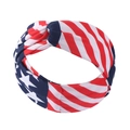 All Over USA Flag Print Style 6