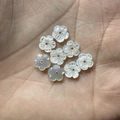 White shell flower beads in palm showing natural mother of pearl luster for DIY jewelry - From 20 Pcs / 8mm White Mop Shell
