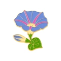 Ipomoea Blu (XZ5489)