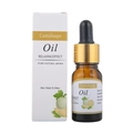 10ml Cantaloupe essential oil in glass bottle with dropper for aromatherapy diffusers - RH-13 Cantaloupe / 10ml