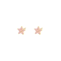 Boucles d'oreilles étoile à cinq branches en argent S925 avec zircons roses délicats - Argent 925 / Zircon Rose