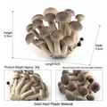 Realistic brown Shimeji mushroom model ornament made of solid hard plastic - Shimeji Mushroom (T15513)