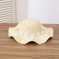 Beige woven straw sun hat featuring delicate daisy embroidery for a summer beach look - Floral Head Circumference Beige
