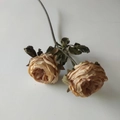 Artificial 2-head champagne burnt edge rose with green leaves on white background - Pink and Coffee