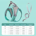 Reflective mesh dog harness size guide in mint green and grey with matching leash set - Green & Grey