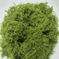 Detailed close-up of artificial green moss with a soft fiber texture for micro landscapes - 30g Pack / Light Color
