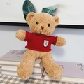 Brown teddy bear wearing a red knitted sweater sitting on books for Valentine's Day - Brown Bear - Red Sweater Letter Badge / 30cm