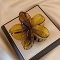 Large gradient plumeria hair claw clip in amber brown translucent resin finish - Oolong Amber [8cm Large]