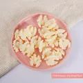 Walnussförmiges PVC-Modell für Kuchendekoration und Bastelarbeiten, 3x2,9 cm groß - Weißer Walnusskern
