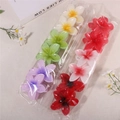 12 Pcs/Bag Plumeria Mixed Colors (12 Pcs/Pack)