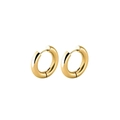 Minimalist small round hoop earrings in polished golden finish high quality stainless steel - 10mm Pair / Gold