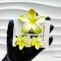 3-piece plumeria flower hair clip set in gradient white and yellow with a glossy finish - Large And Small Claw Clips Combination / Craft Yellow Green