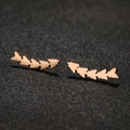 Elegant geometric leaf earrings in rose gold finish made of durable stainless steel - 676 Rose Gold (Fishbone Leaf)