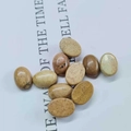 Polished oval natural stone cabochons in earthy brown with unique black speckle texture - 6*8mm / Picture Jasper