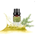 10ml Pure Rosemary Essential Oil in amber glass bottle with aromatic splash effect - Rosemary (single Ingredient)